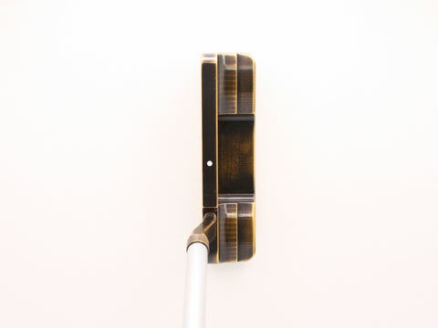 Address view of putter with sight dot and slant neck
